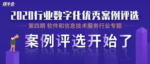 智領未來，數繪新篇 軟件和信息技術服務行業最佳案例之信息技術咨詢服務深度剖析